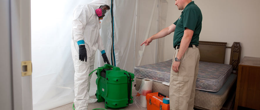 Platteville, WI mold removal process